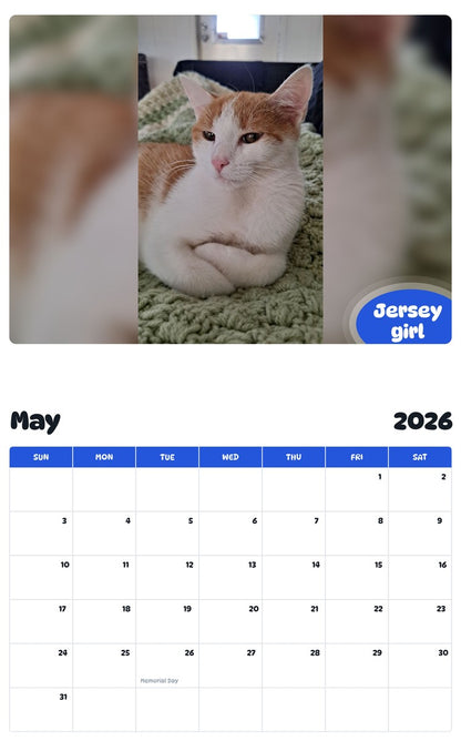 2026 - 2027 Jersey girl - Pawidols Pet Calendar