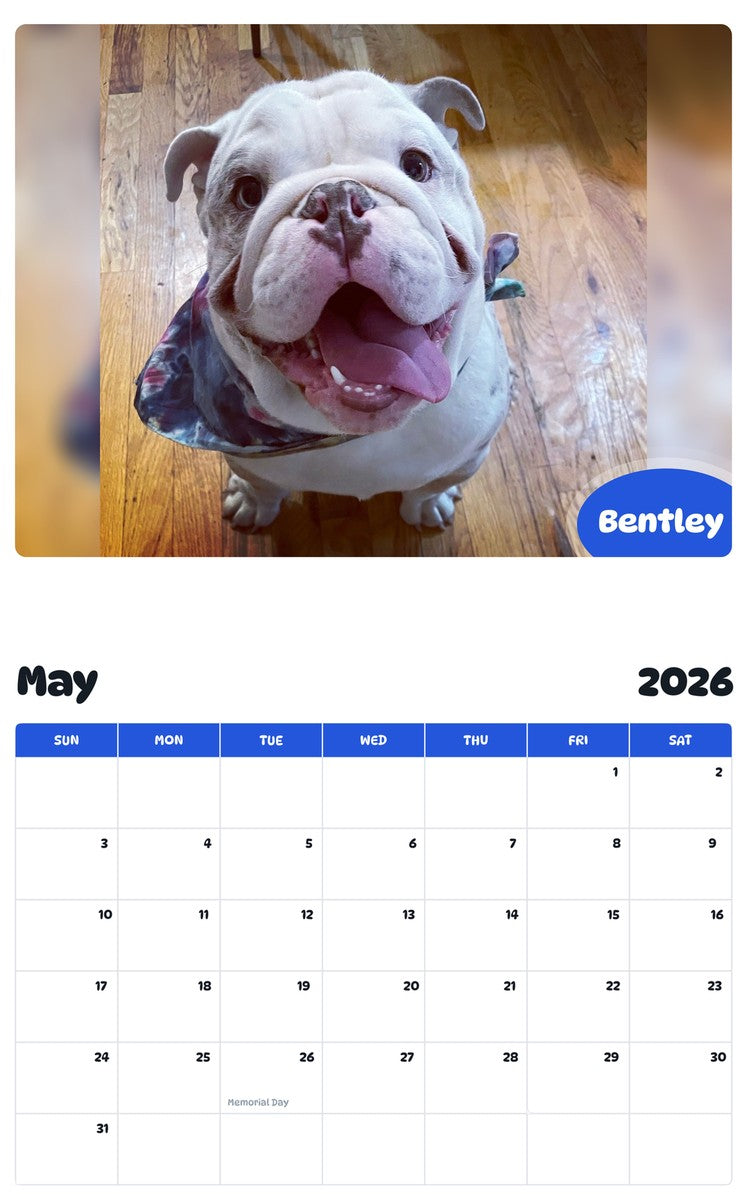 2026 - 2027 Bentley - Pawidols Pet Calendar