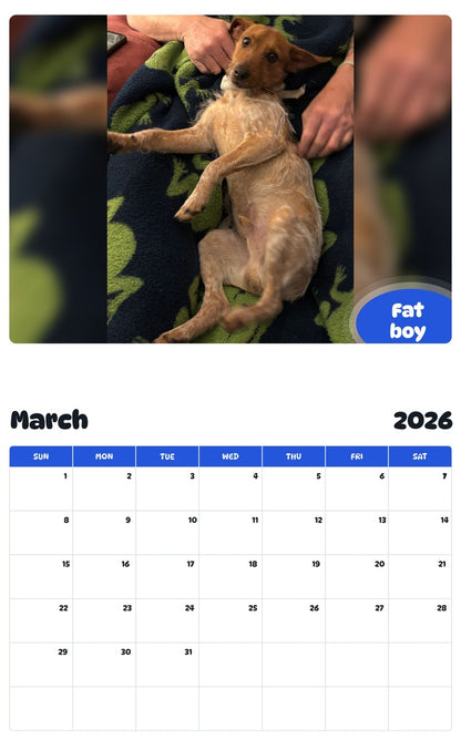 November 2025 - October 2026 Fat boy - Pawidols Pet Calendar