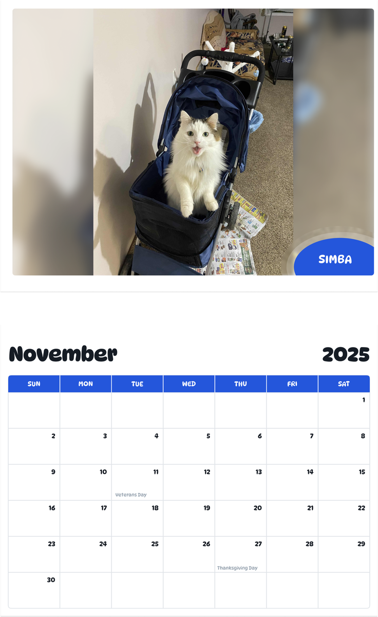 July 2025 - June 2026 Simba - Pawidols Pet Calendar