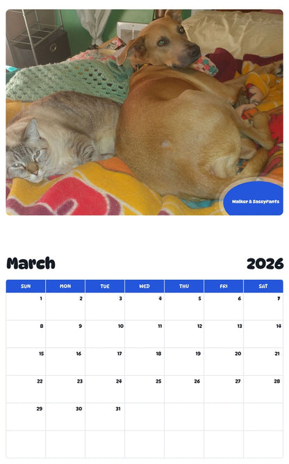 November 2025 - October 2026 Walker & SassyPants - Pawidols Pet Calendar