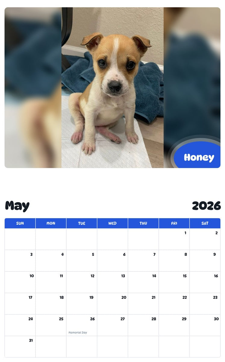 2026 - 2027 Honey - Pawidols Pet Calendar