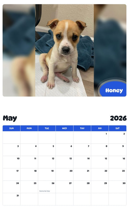 2026 - 2027 Honey - Pawidols Pet Calendar