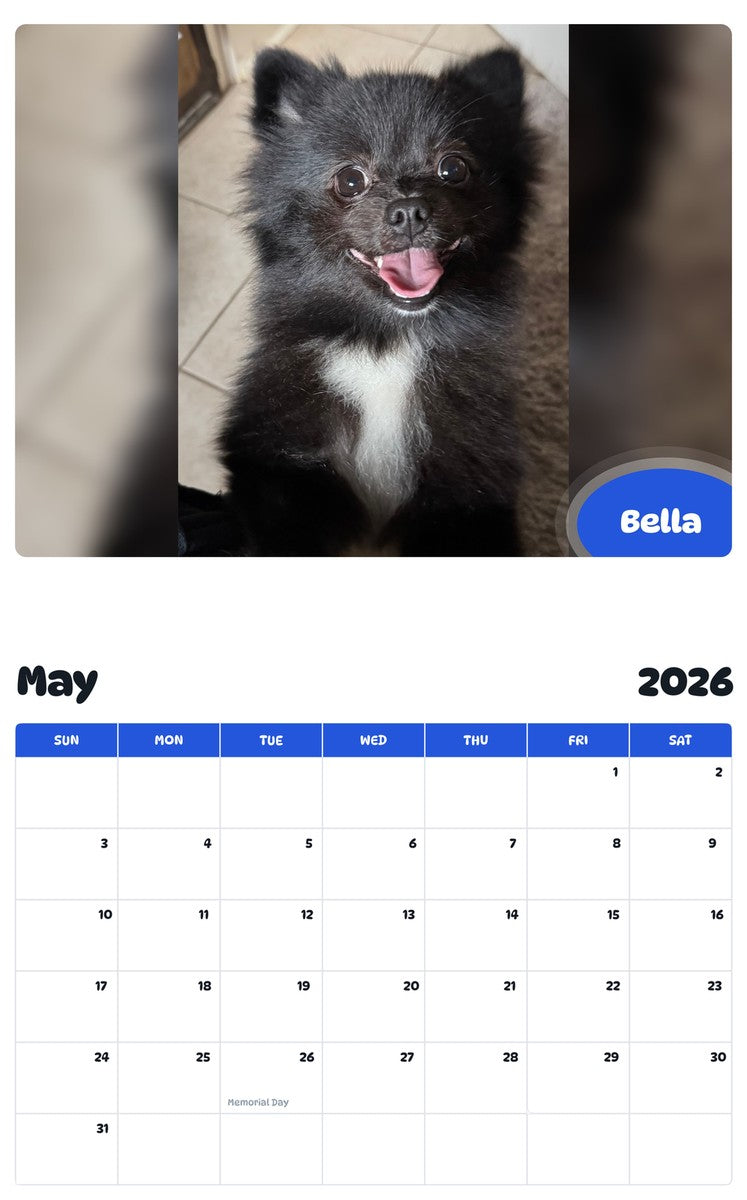 2026 - 2027 Bella - Pawidols Pet Calendar