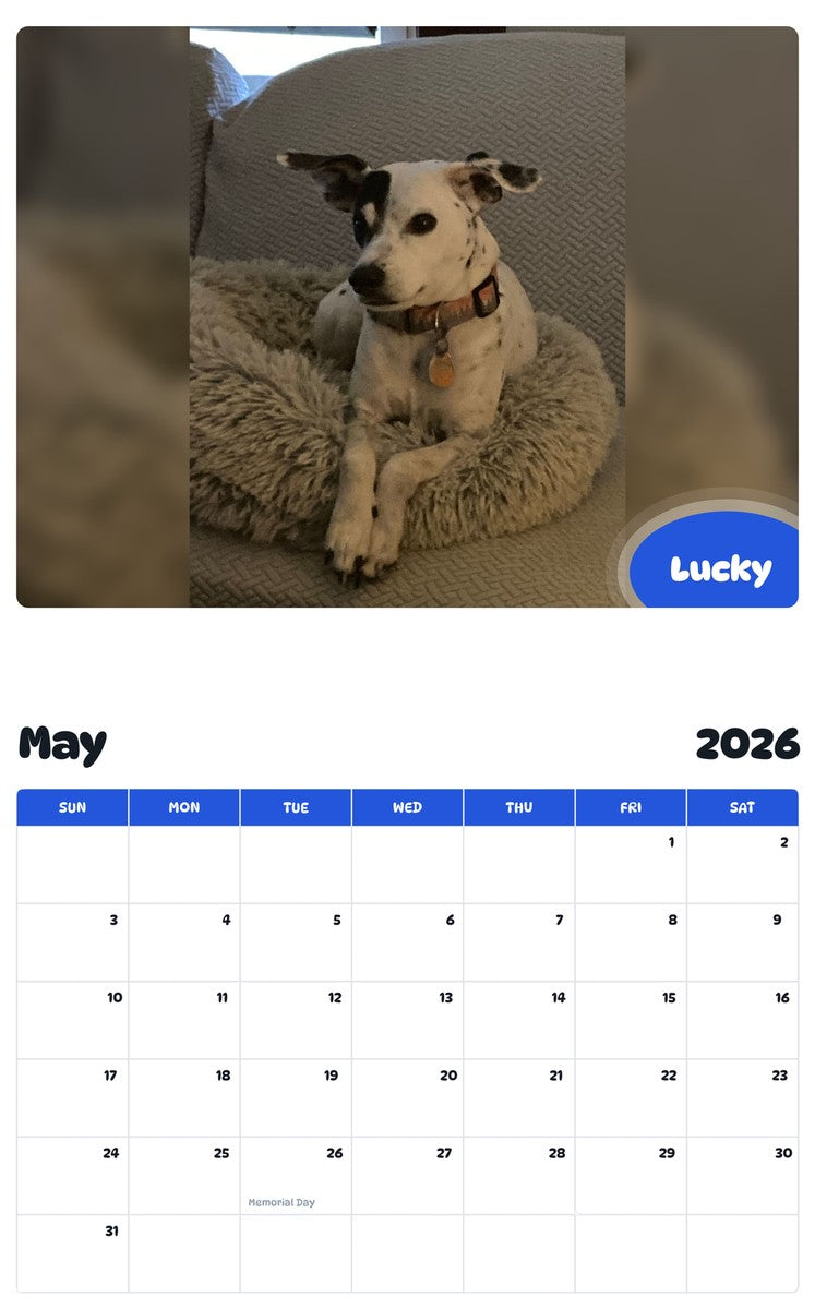 2026 - 2027 Lucky - Pawidols Pet Calendar
