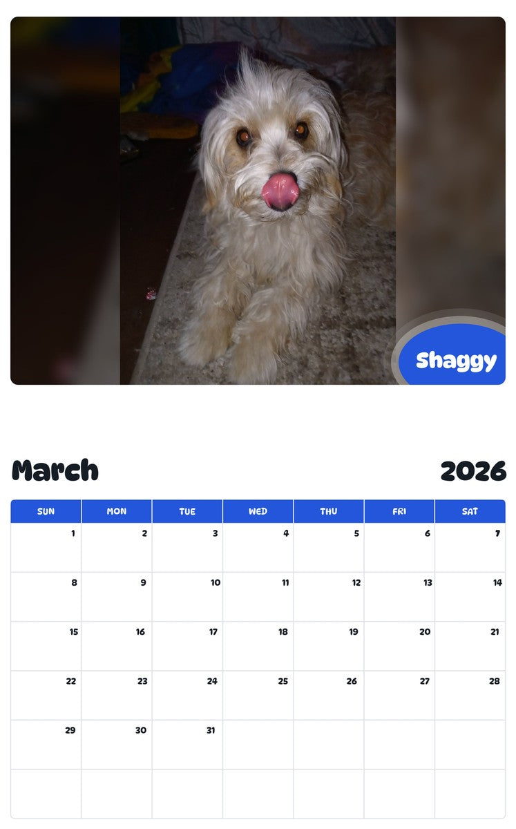 November 2025 - October 2026 Shaggy - Pawidols Pet Calendar