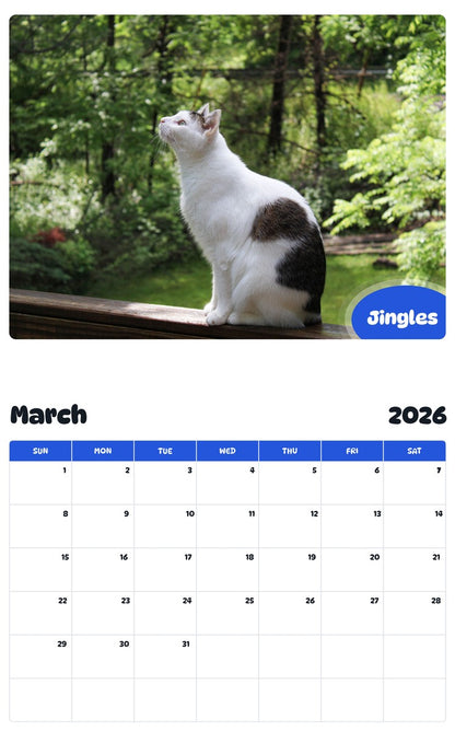 November 2025 - October 2026 Jingles - Pawidols Pet Calendar