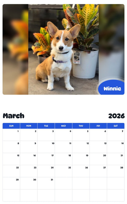 November 2025 - October 2026 Winnie - Pawidols Pet Calendar