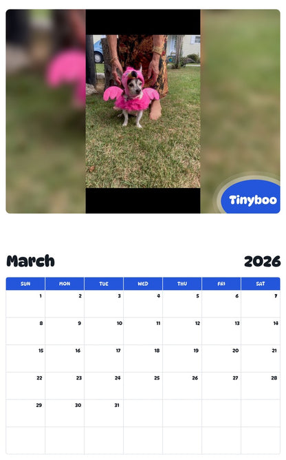 November 2025 - October 2026 Tinyboo - Pawidols Pet Calendar
