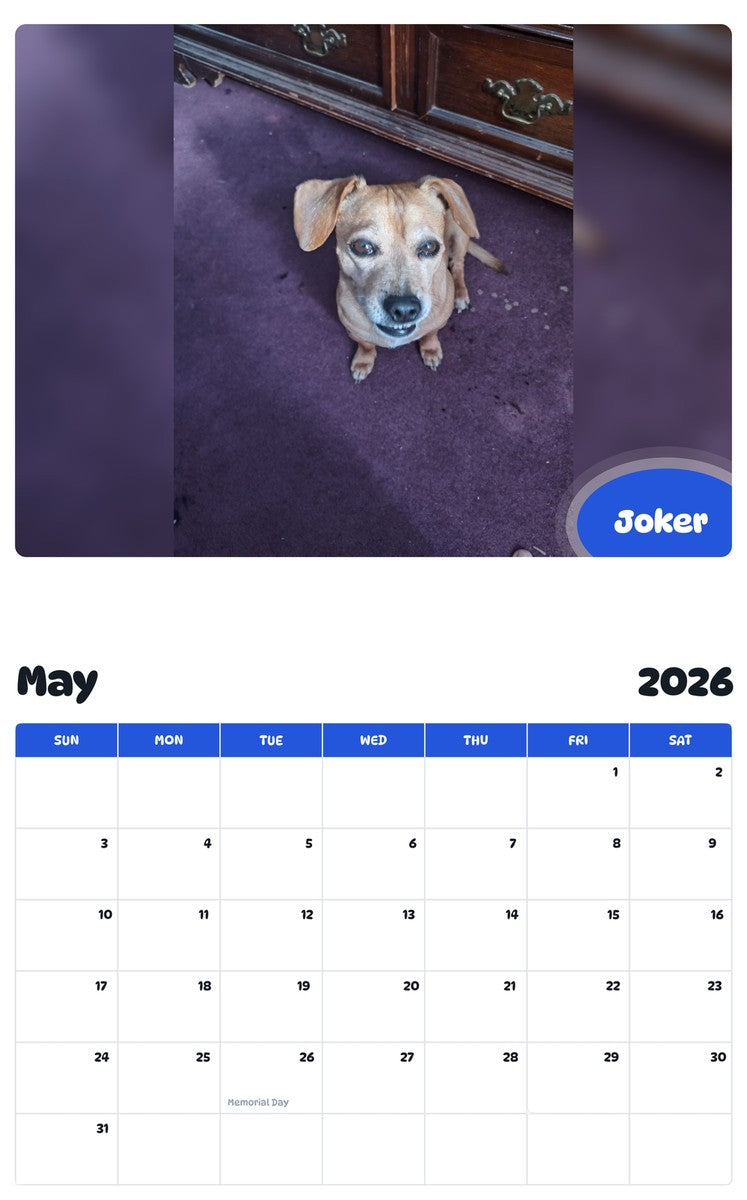 2026 - 2027 Joker - Pawidols Pet Calendar