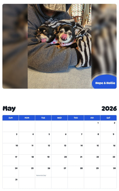 2026 - 2027 Hope & Hollie - Pawidols Pet Calendar