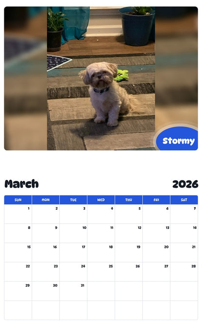 November 2025 - October 2026 Stormy - Pawidols Pet Calendar