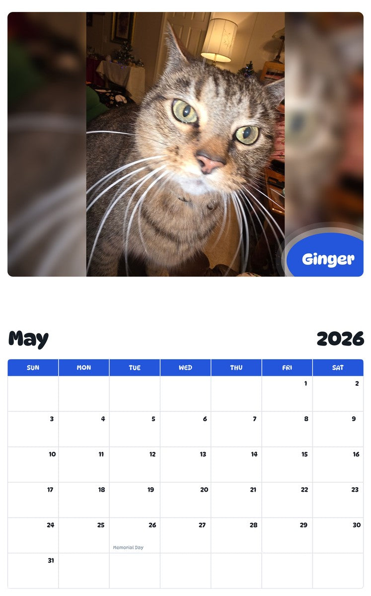 2026 - 2027 Ginger - Pawidols Pet Calendar