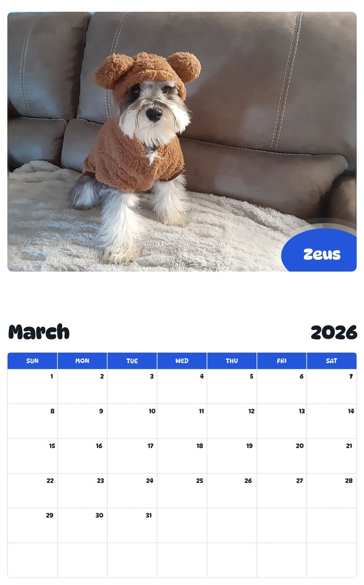 November 2025 - October 2026 Zeus - Pawidols Pet Calendar