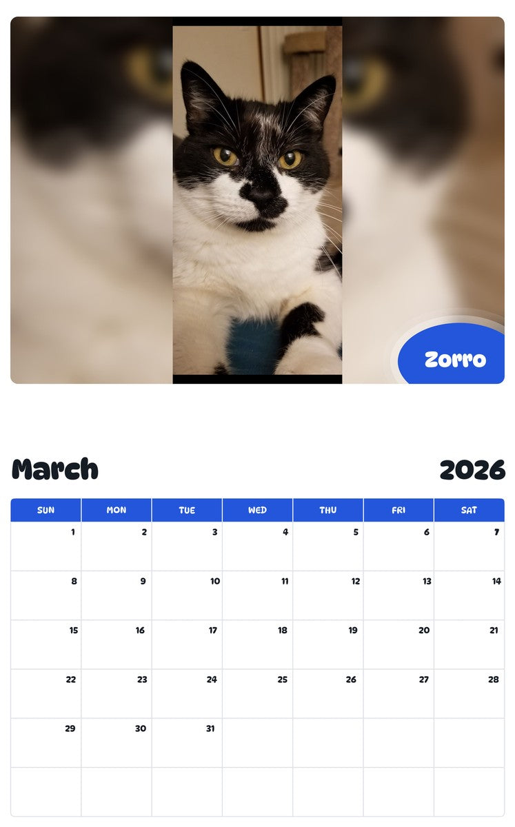 November 2025 - October 2026 Zorro - Pawidols Pet Calendar