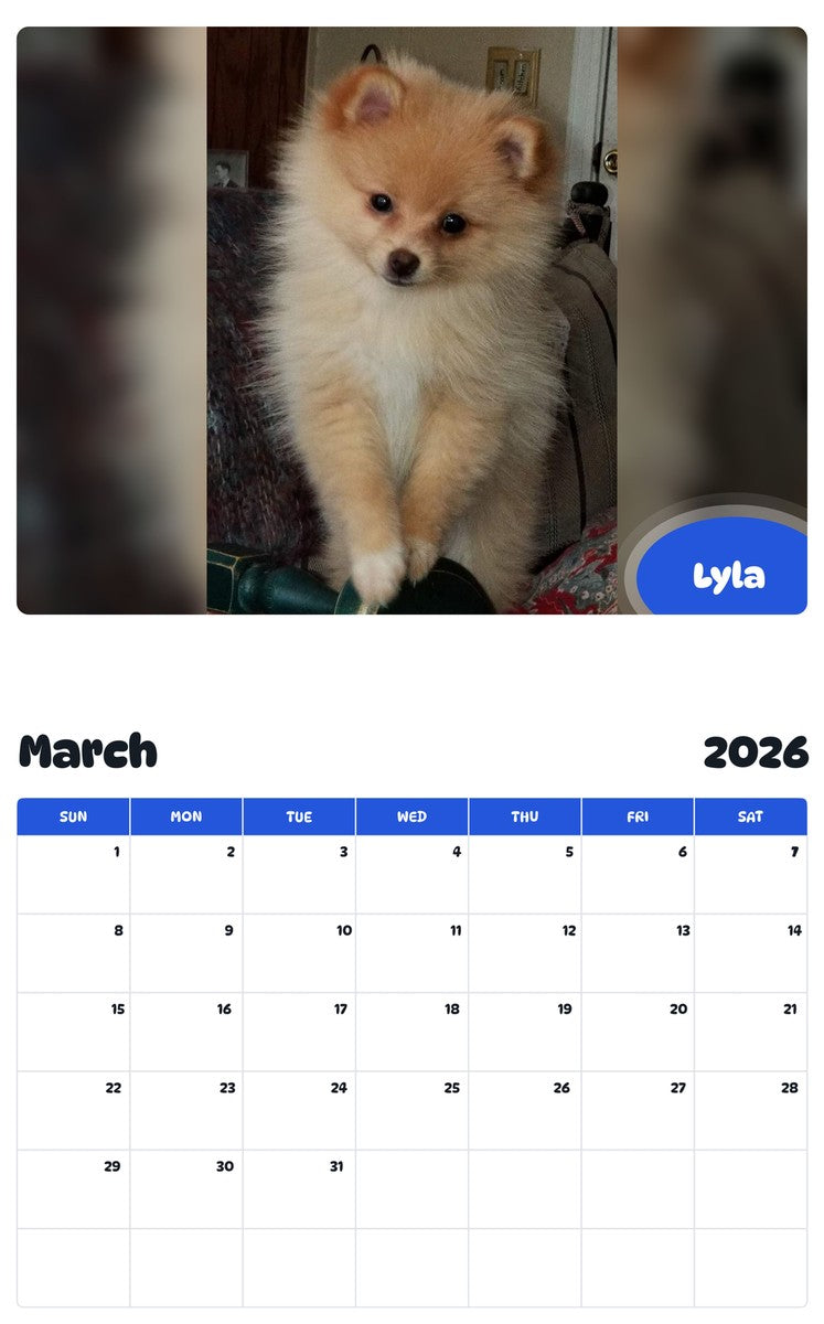 November 2025 - October 2026 Lyla - Pawidols Pet Calendar