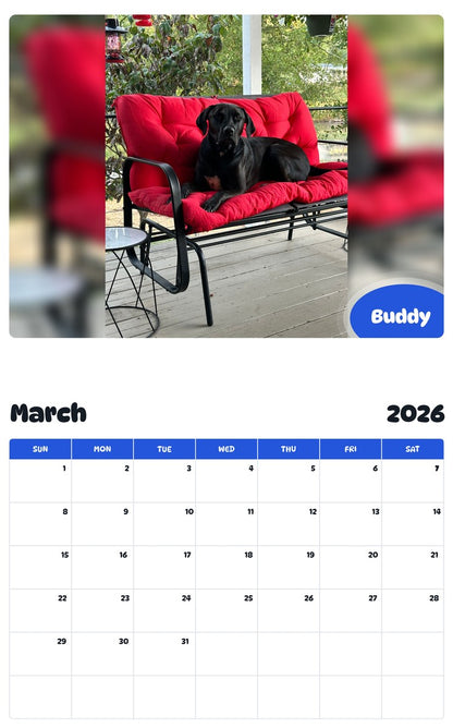 November 2025 - October 2026 Buddy - Pawidols Pet Calendar