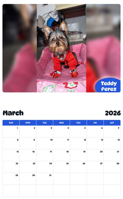 November 2025 - October 2026 Teddy Perez - Pawidols Pet Calendar