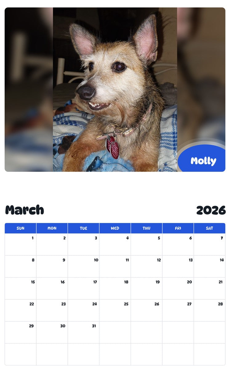November 2025 - October 2026 Molly - Pawidols Pet Calendar