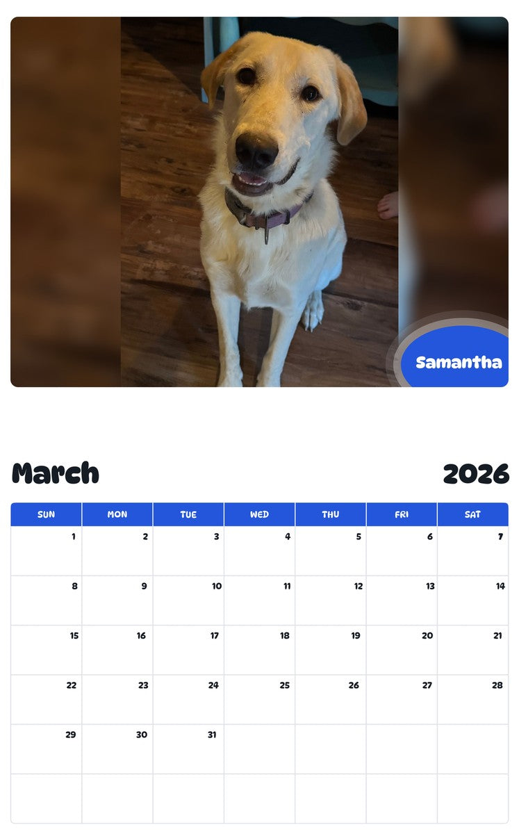 November 2025 - October 2026 Samantha - Pawidols Pet Calendar
