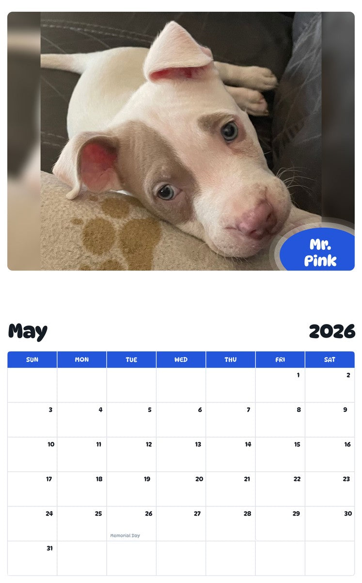 2026 - 2027 Mr. Pink - Pawidols Pet Calendar