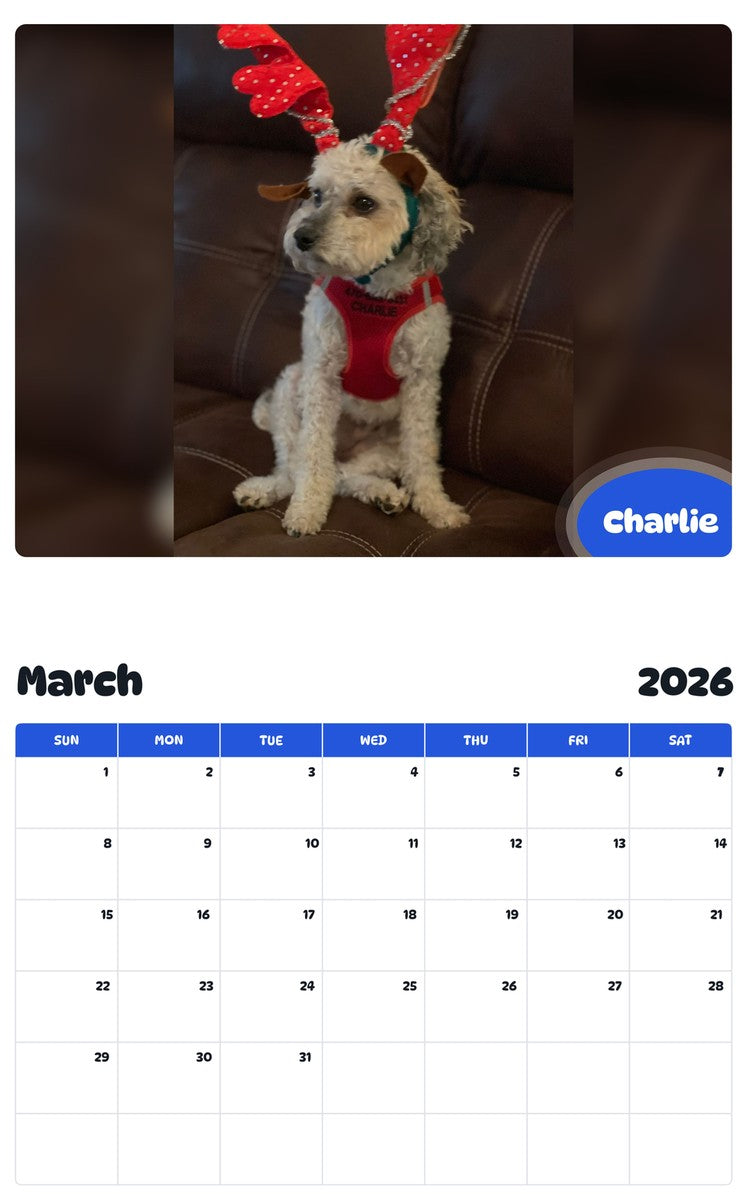 November 2025 - October 2026 Charlie - Pawidols Pet Calendar