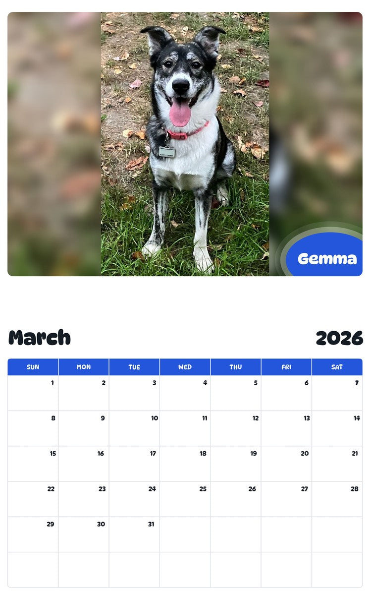 November 2025 - October 2026 Gemma - Pawidols Pet Calendar