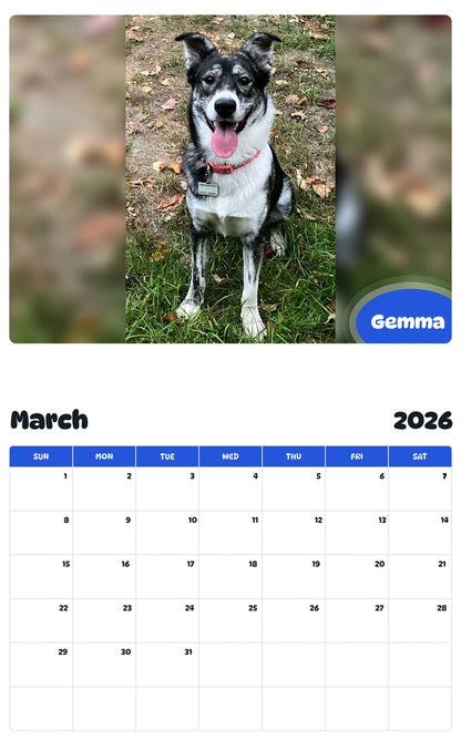 November 2025 - October 2026 Gemma - Pawidols Pet Calendar