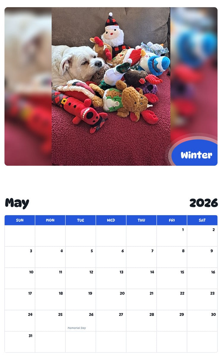 2026 - 2027 Winter - Pawidols Pet Calendar