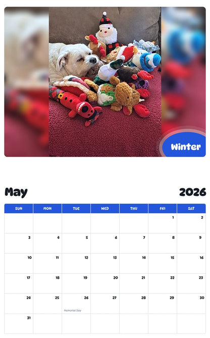 2026 - 2027 Winter - Pawidols Pet Calendar