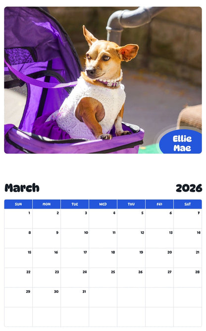 November 2025 - October 2026 Ellie Mae - Pawidols Pet Calendar