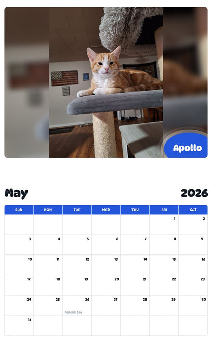 2026 - 2027 Apollo - Pawidols Pet Calendar