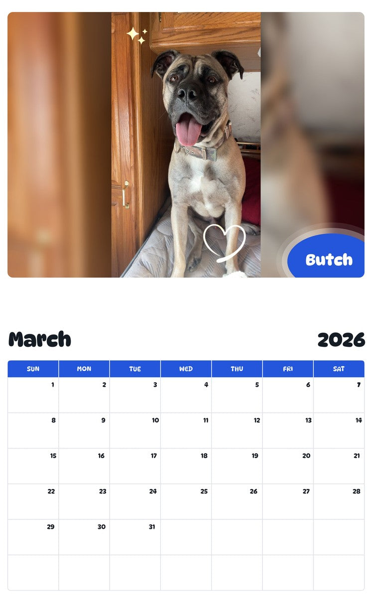 November 2025 - October 2026 Butch - Pawidols Pet Calendar