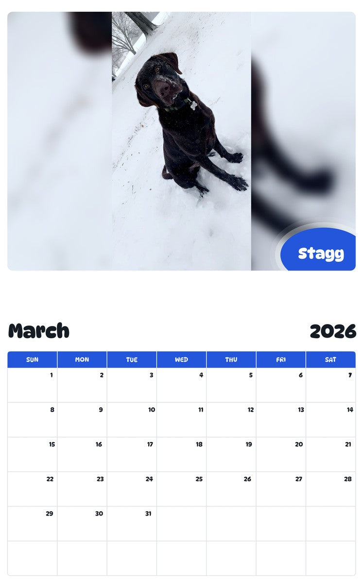 November 2025 - October 2026 Stagg - Pawidols Pet Calendar