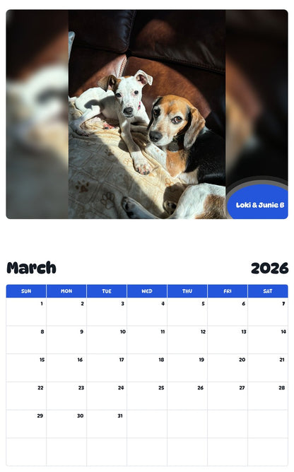 November 2025 - October 2026 Loki & Junie B - Pawidols Pet Calendar