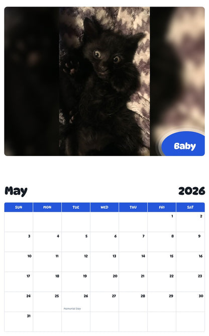 2026 - 2027 Baby - Pawidols Pet Calendar