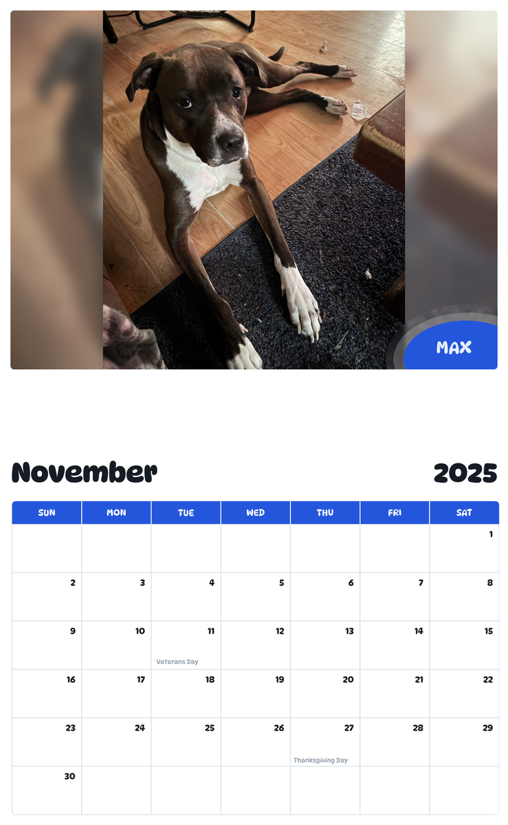 July 2025 - June 2026 Max - Pawidols Pet Calendar