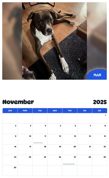 July 2025 - June 2026 Max - Pawidols Pet Calendar