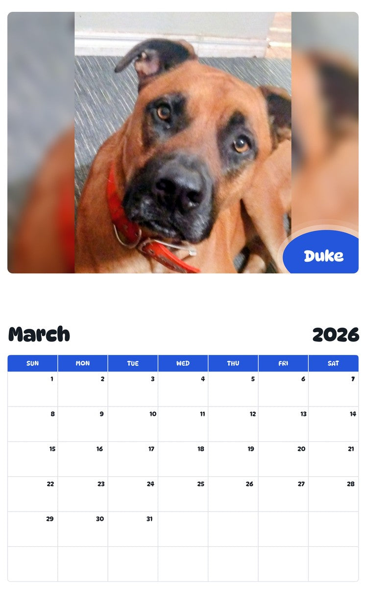 November 2025 - October 2026 Duke - Pawidols Pet Calendar