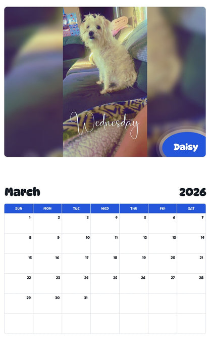 November 2025 - October 2026 Daisy - Pawidols Pet Calendar
