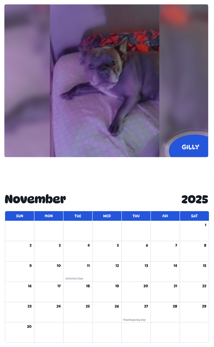 July 2025 - June 2026 Gilly - Pawidols Pet Calendar