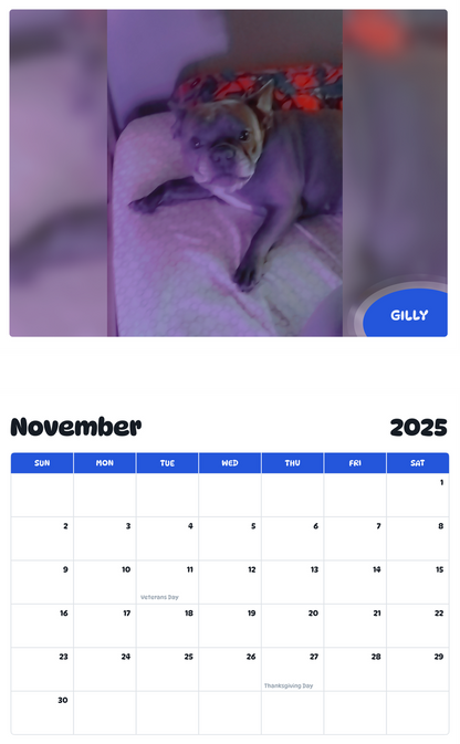 July 2025 - June 2026 Gilly - Pawidols Pet Calendar