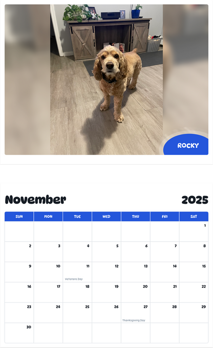 July 2025 - June 2026 Rocky - Pawidols Pet Calendar