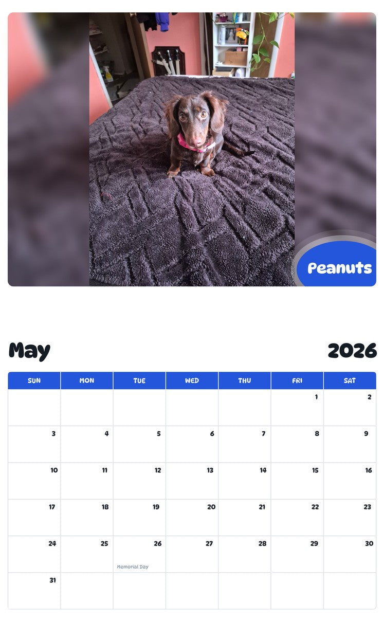2026 - 2027 Peanuts - Pawidols Pet Calendar