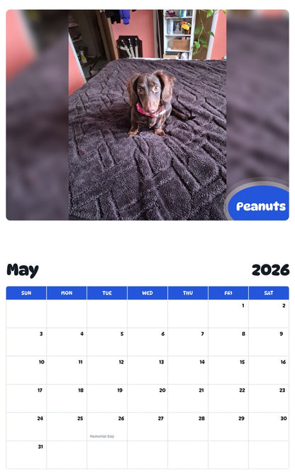 2026 - 2027 Peanuts - Pawidols Pet Calendar