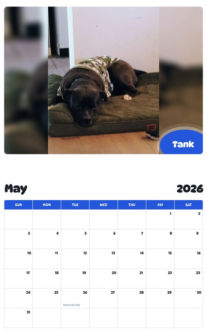 2026 - 2027 Tank - Pawidols Pet Calendar