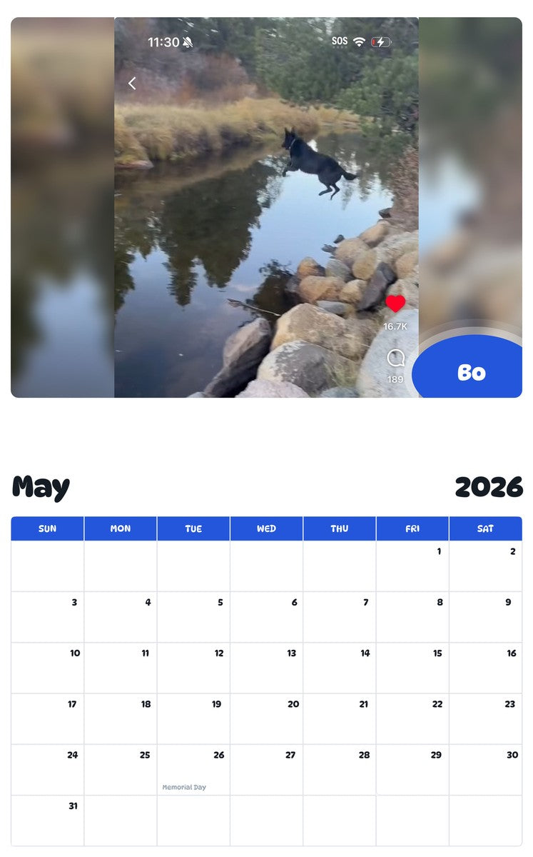 2026 - 2027 Bo - Pawidols Pet Calendar