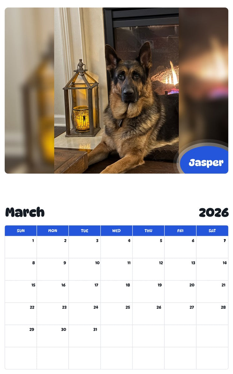 November 2025 - October 2026 Jasper - Pawidols Pet Calendar