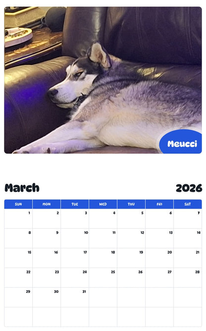 November 2025 - October 2026 Meucci - Pawidols Pet Calendar