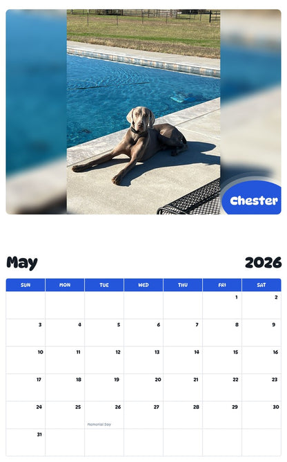 2026 - 2027 Chester - Pawidols Pet Calendar